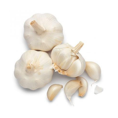 Old Garlic