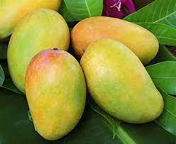 Kesar Mango